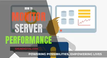 Monitoring Server Performance: A Comprehensive Guide