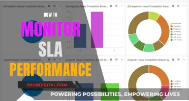 Monitoring SLA Performance: Strategies for Success