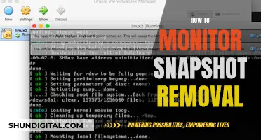 Monitoring Snapshot Removal: Strategies for Effective Surveillance