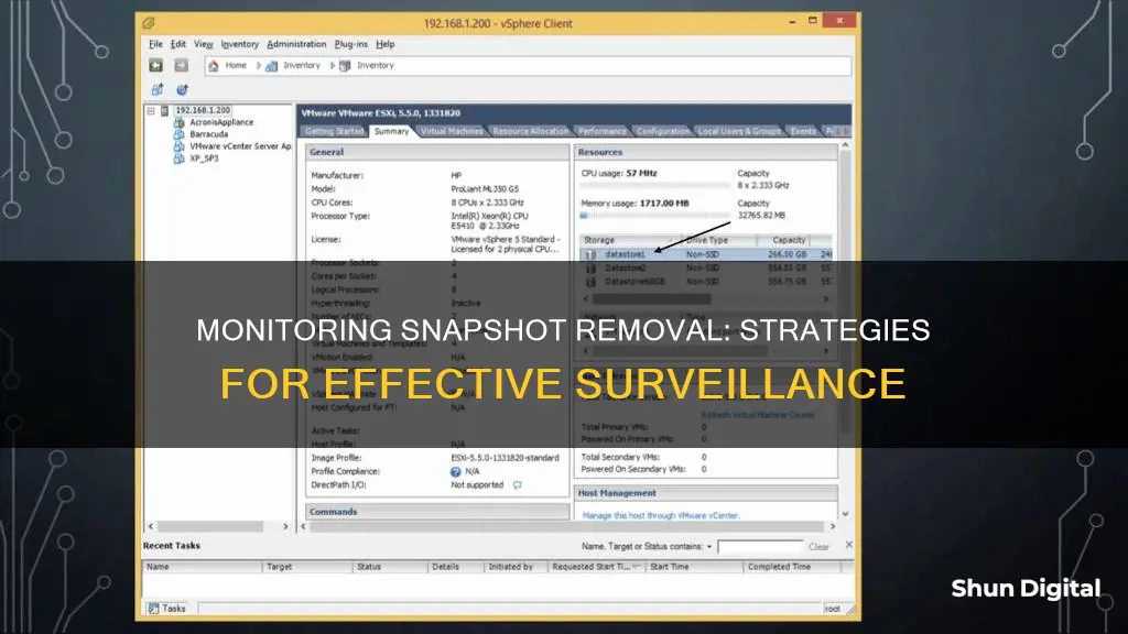 how to monitor snapshot removal