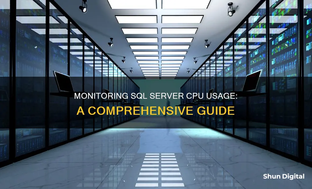 how to monitor sql server cpu usage