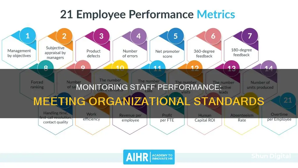 how to monitor staff performance against organisational standards