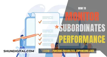 Monitoring Subordinates: Strategies for Effective Performance Evaluation