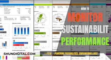 Monitoring Sustainability Performance: Strategies for Success