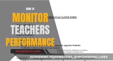 Monitoring Teachers: Strategies for Performance Evaluation