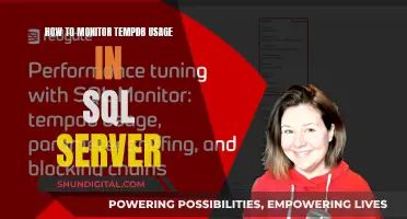 Monitoring TempDB Usage: A Guide for SQL Server Admins