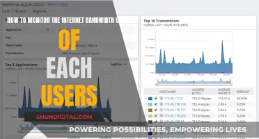 Monitoring Internet Bandwidth: Tracking User Activity