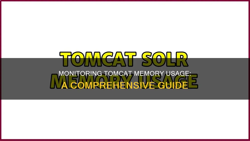 how to monitor tomcat memory usage