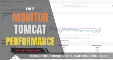 Monitoring Tomcat Performance: Tips and Tricks