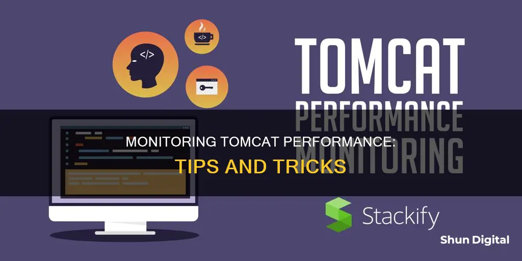 how to monitor tomcat performance