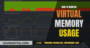 Monitoring Virtual Memory Usage: A Comprehensive Guide