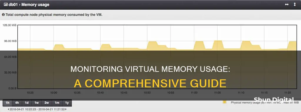 how to monitor virtual memory usage