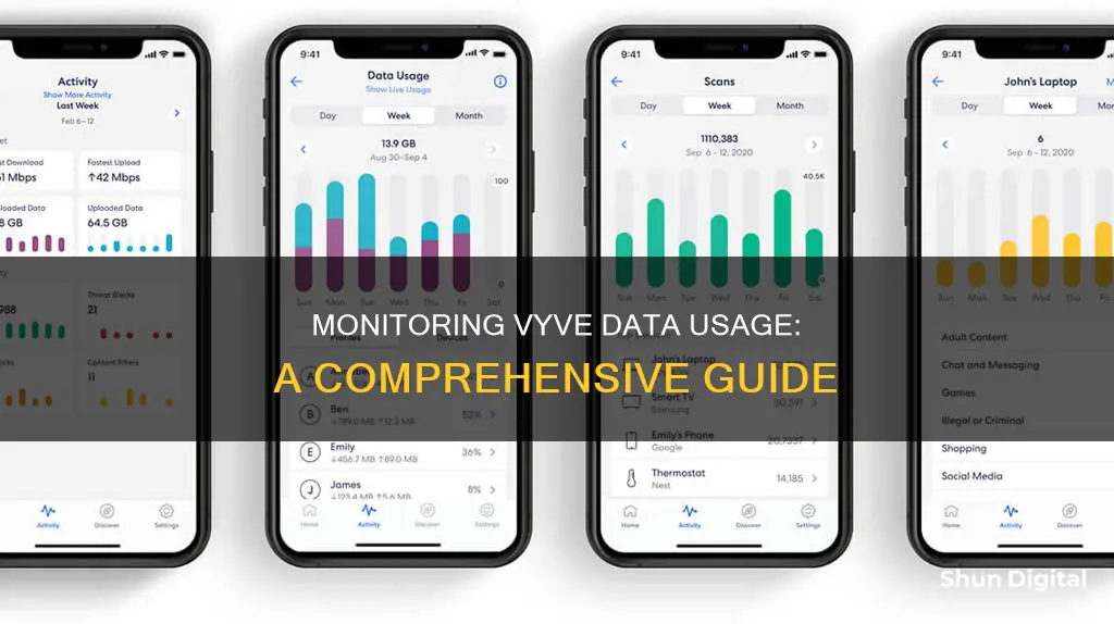 how to monitor vyve data usage