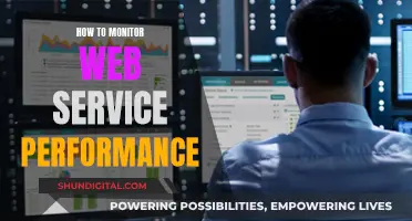 Monitoring Web Service Performance: Strategies for Success