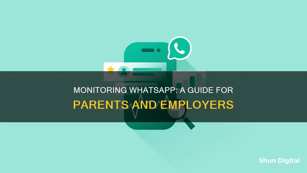 how to monitor whatsapp usage