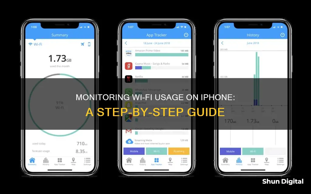 how to monitor wifi usage on iphone