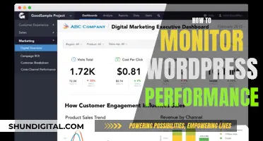 Monitoring WordPress Performance: Strategies for Success