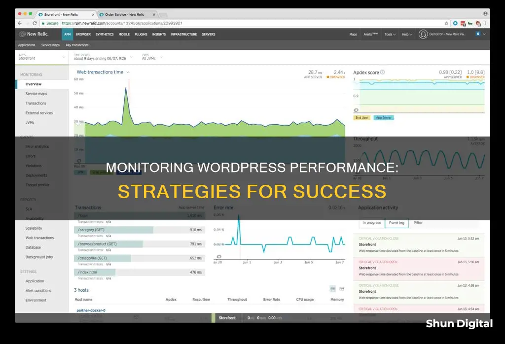 how to monitor wordpress performance