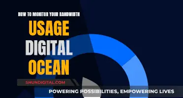 Monitor Bandwidth Usage: Digital Ocean Tips and Tricks