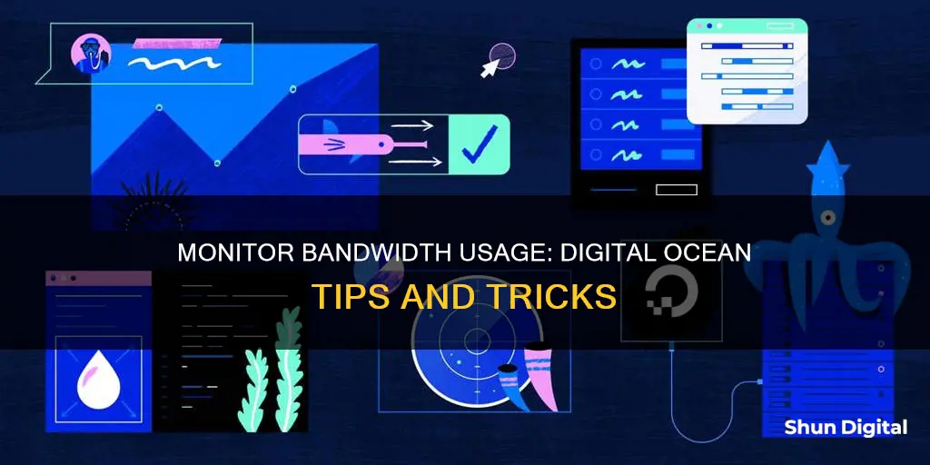 how to monitor your bandwidth usage digital ocean