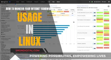 Monitoring Bandwidth Usage in Linux: A Comprehensive Guide