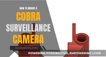 Mounting Cobra Surveillance Cameras: A Step-by-Step Guide