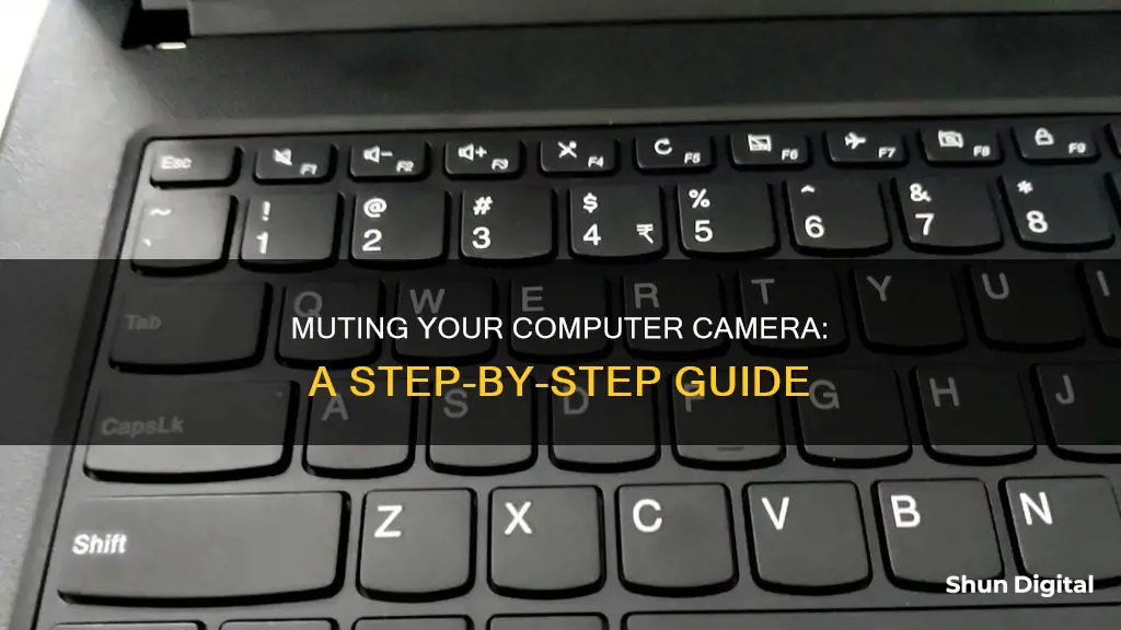 how to mute camera on computer