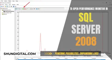 Opening Performance Monitor in SQL Server 2008: A Guide