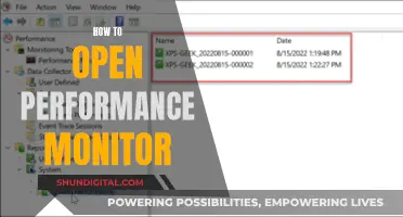 Opening Performance Monitor: A Step-by-Step Guide