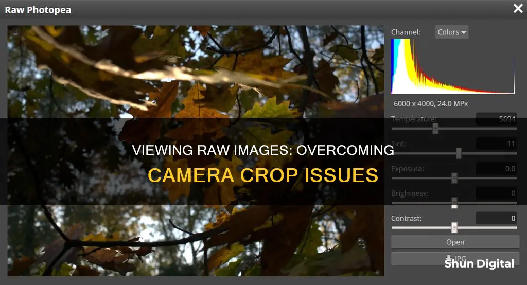 how to opwn raw image without camera crop info