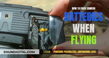 Smart Tips for Flying with Camera Batteries