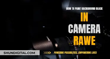 Black Backgrounds: Camera Raw Techniques