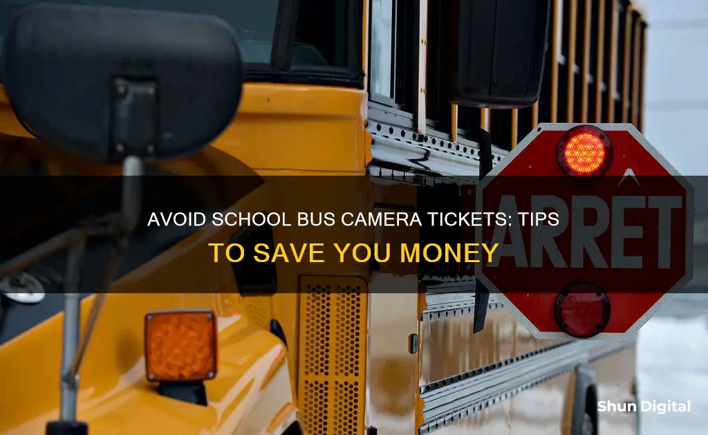 how to pay school bus camera ticket