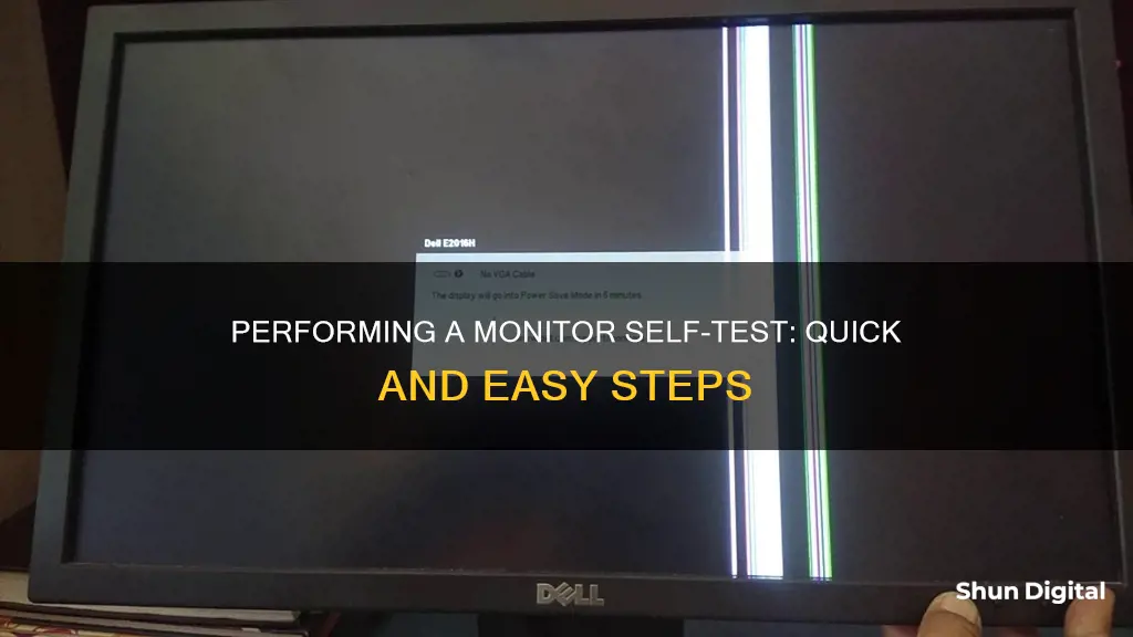 how to perform a monitor self test