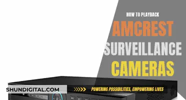 Amcrest Surveillance Cameras: Playback Guide for Beginners