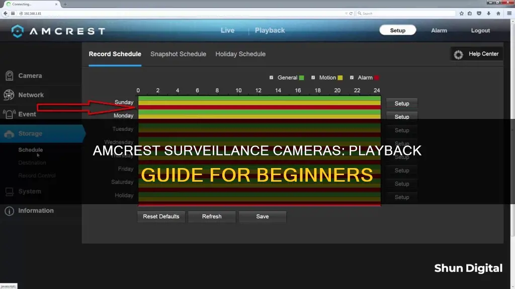 how to playback amcrest surveillance cameras