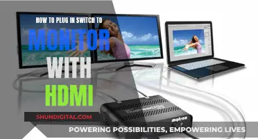 Connecting Your Switch to a Monitor Using HDMI