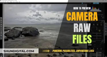 Exploring Camera Raw Files: A Quick Preview Guide