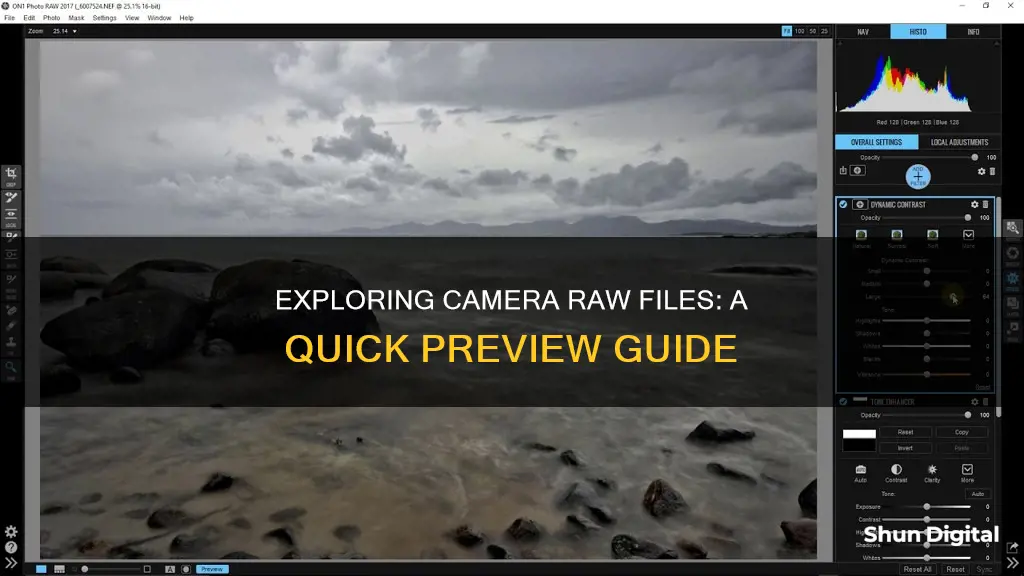 how to preview camera raw files