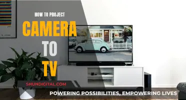 Projecting Your Camera's View onto Your TV Screen