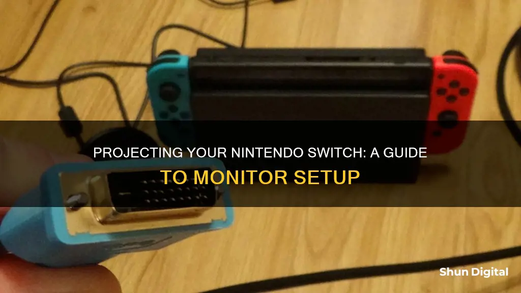 how to project my switch on my monitor