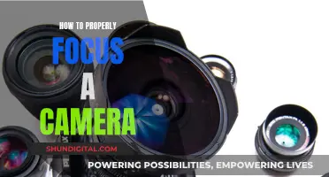 Mastering Camera Focus: The Ultimate Guide to Sharp Photos