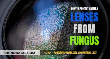 Protecting Camera Lenses: Preventing Fungus Growth