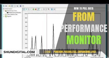 Extracting Performance Monitor Data: A Step-by-Step Guide