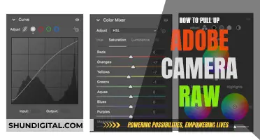 Opening Adobe Camera Raw: A Step-by-Step Guide