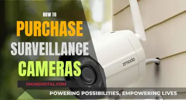 Surveillance Cameras: Buying Guide for Beginners