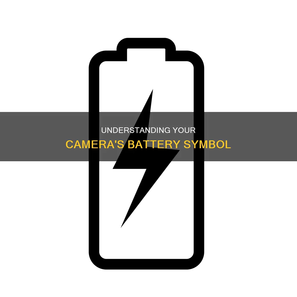 how to read battery symbol on camera