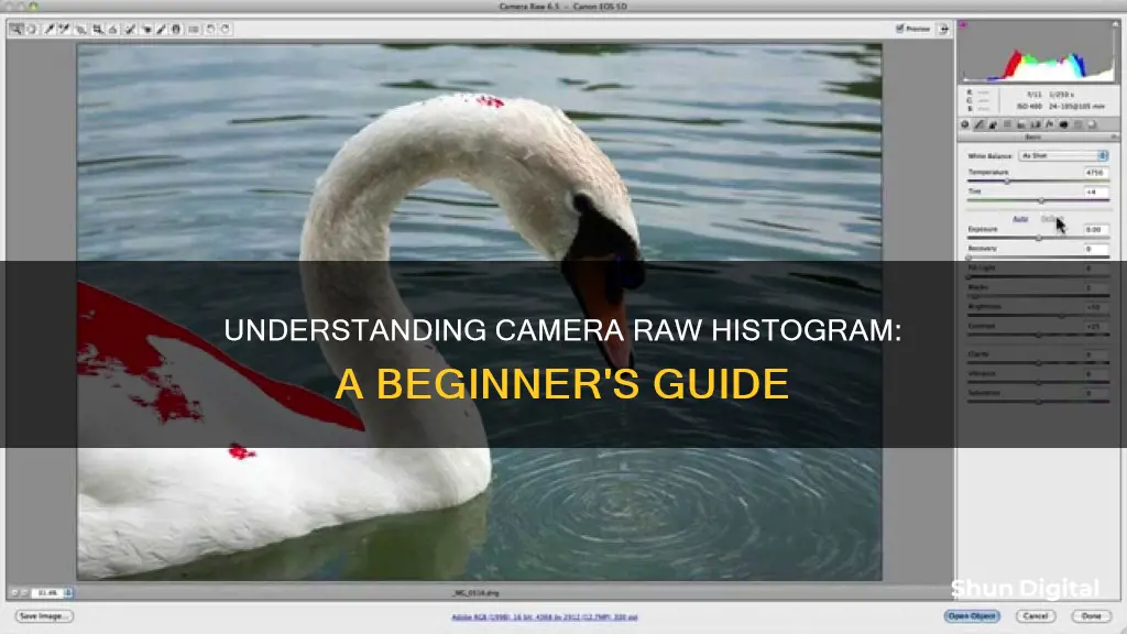 how to read camera raw histogram