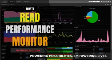 Performance Monitor Mastery: Reading Basics to Advanced Tips