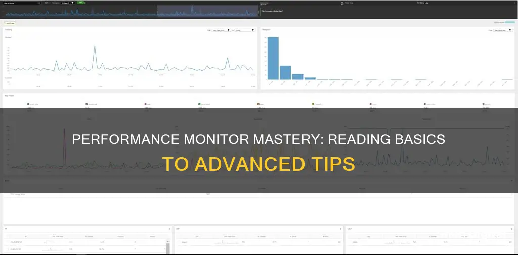 how to read performance monitor